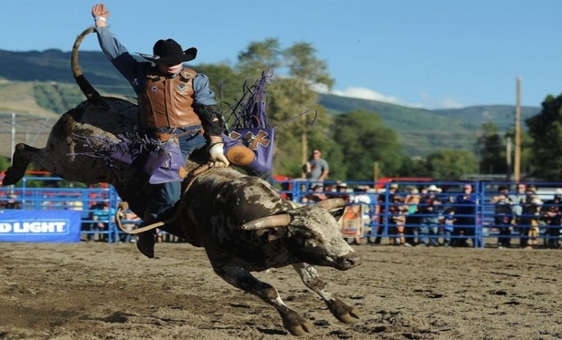 Cachoeira do Campo recebe a 2ª edição da Festa do Peão de Boiadeiro